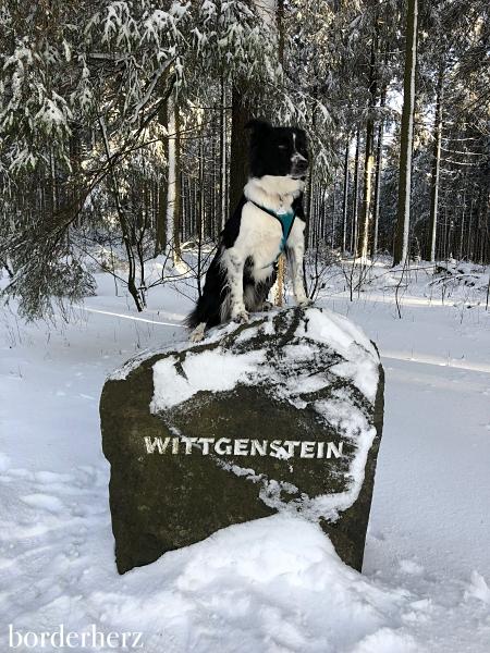 Wittgenstein