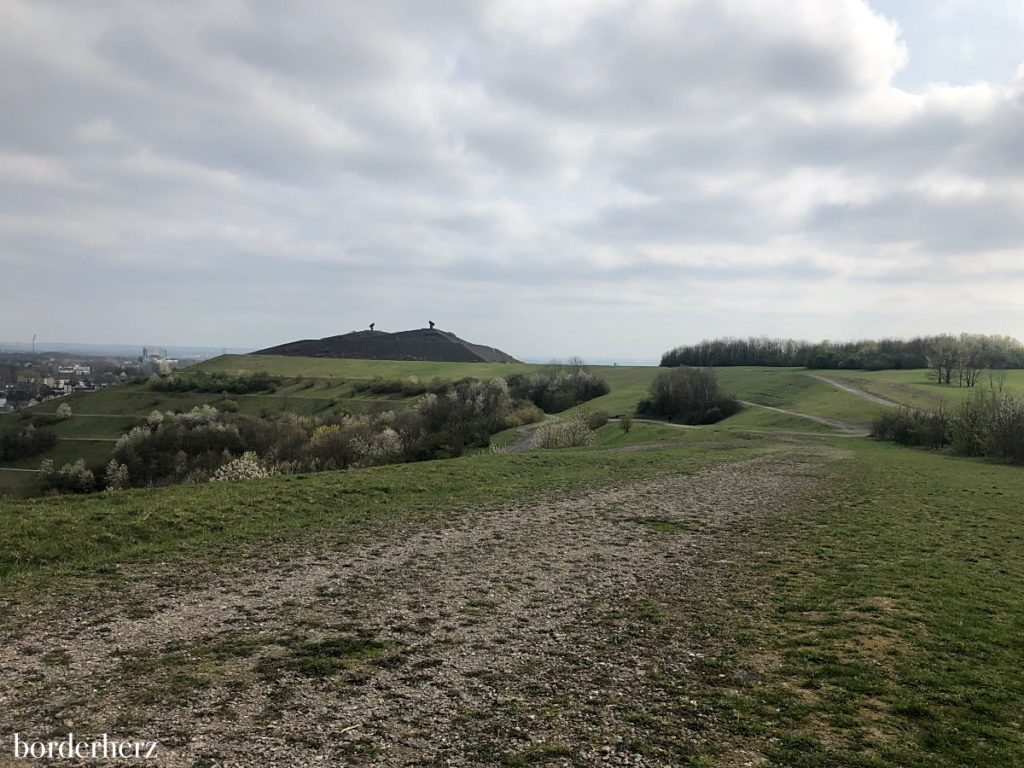 Rungenberghalde Archive - Borderherz® Outdoortrails