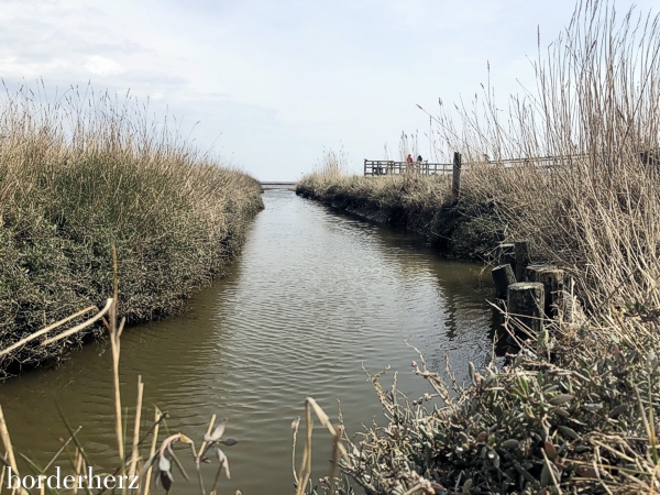 Amrum Wattenmeer