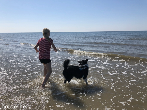 Amrum mit Kind und Hund