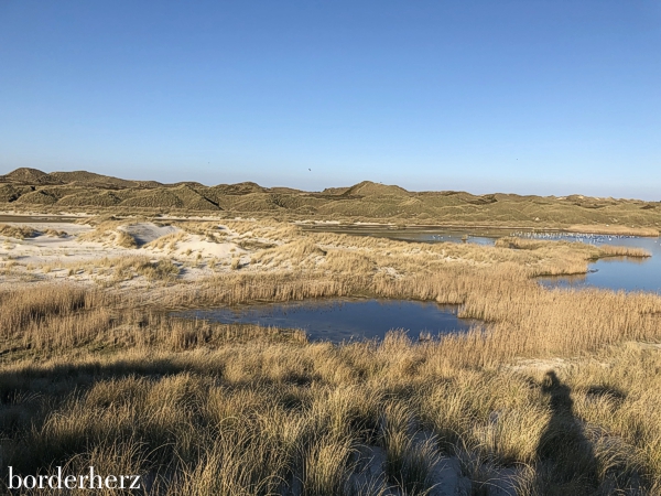 Vordünen auf Amrum