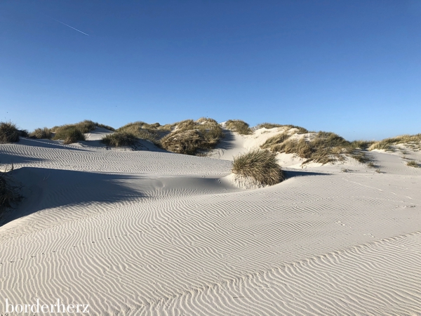 Vordünen auf Amrum