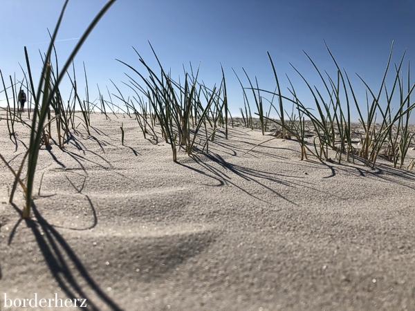 Wandern auf Amrum