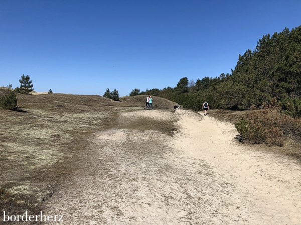 Vogelkoje Amrum