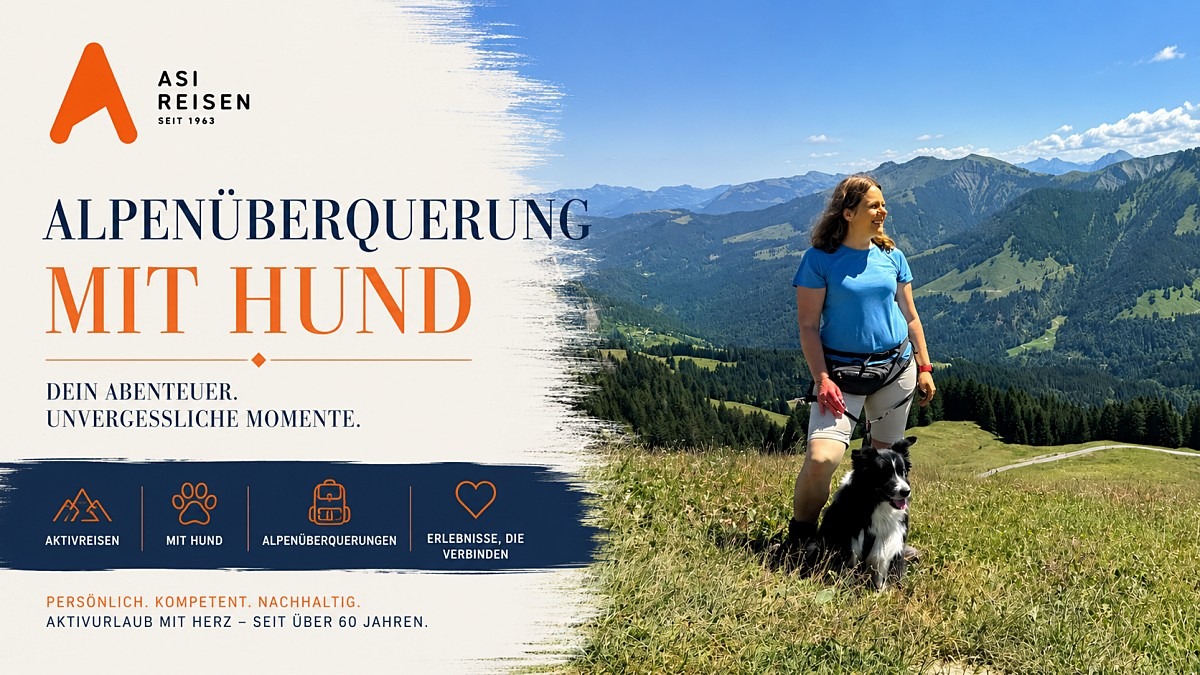 alpenueberquerung mit hund asi reisen
