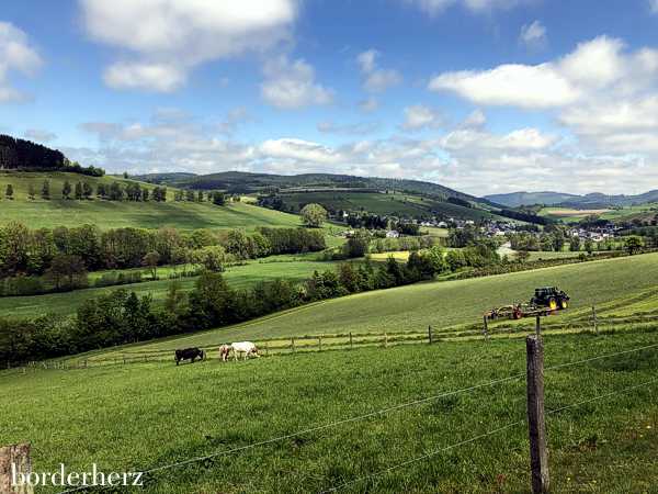 Rothaarsteig