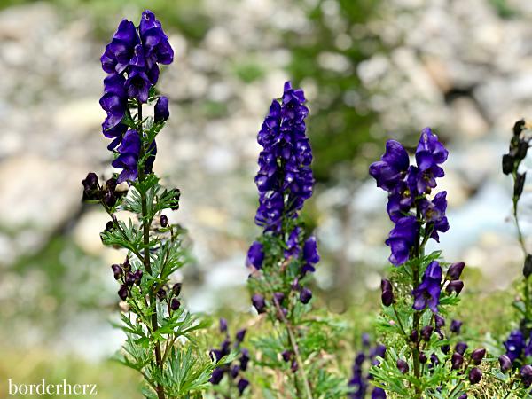 Nationalpark Hohe Tauern