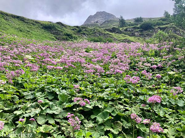 Nationalpark Hohe Tauern