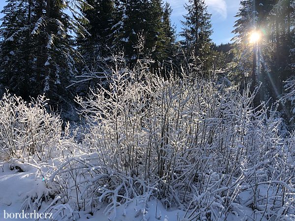 Winter in Garmisch