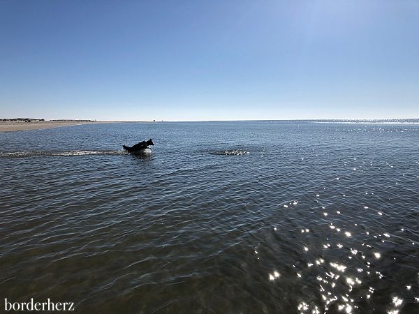 Amrum