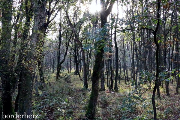 Wandern im Ruhrgebiet