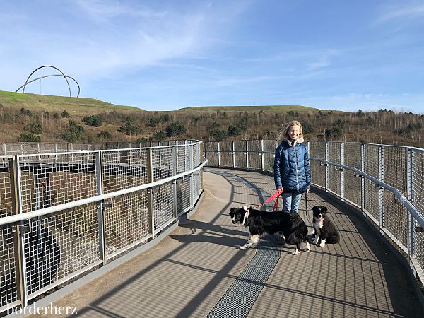 Wandern mit Hund im Ruhrgebiet