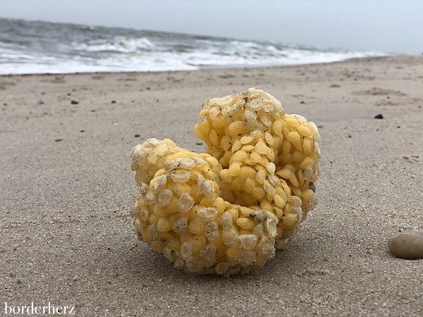 Strandfund Sylt