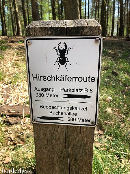 Hirschkäferroute Diersfordter Wald