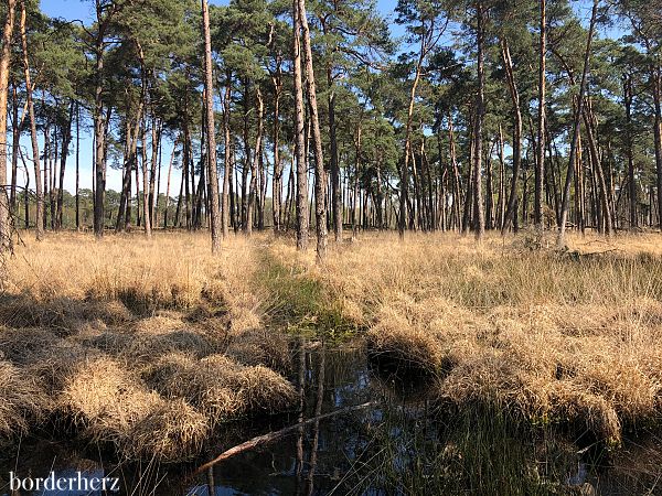 Moorerlebnisroute Diersfordter Wald