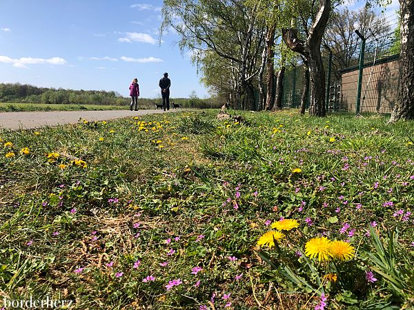 Wandern am Niederrhein