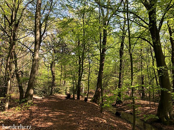 Wandern am Niederrhein