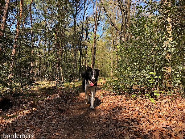 Wandern am Niederrhein