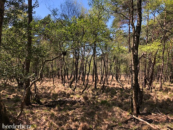 Wandern am Niederrhein