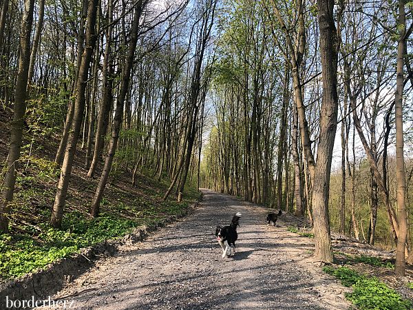 Wandern im Ruhrgebiet