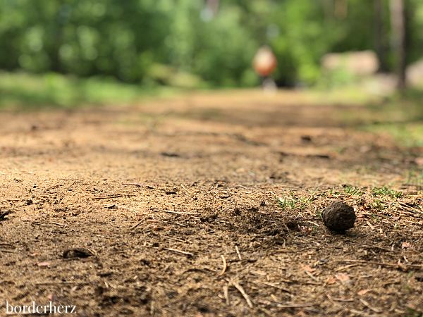 Barfußwandern