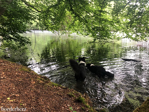 Wandern am Niederrhein