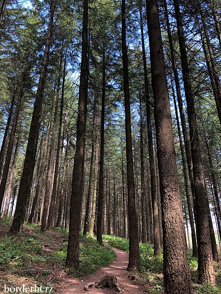 Wandern im Hunsrück