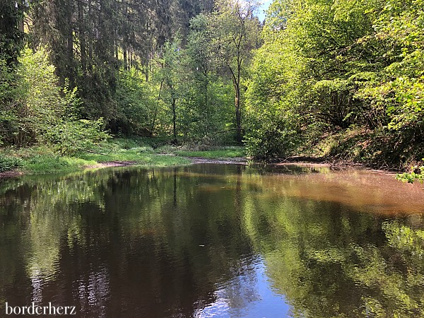 Wandern im Hunsrück