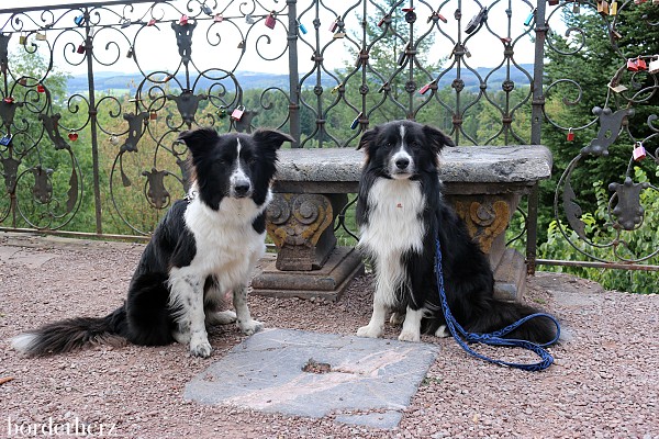 Urlaub mit Hund im Sauerland