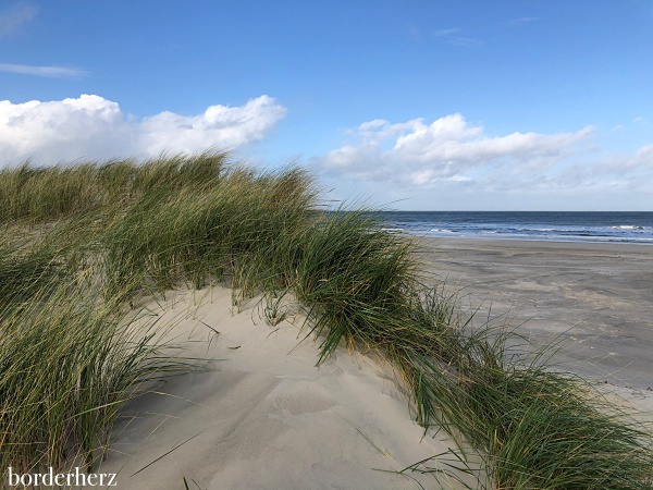 Dünen Borkum