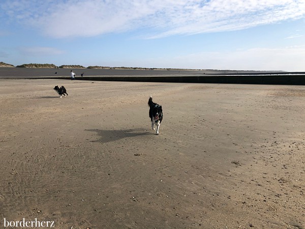 Wanderung auf Borkum