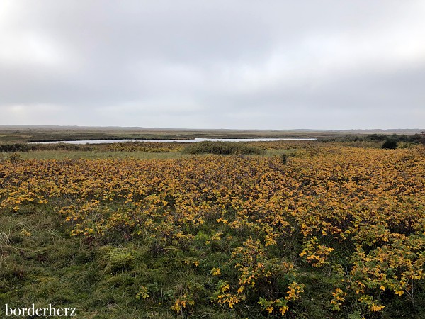 Wanderung auf Borkum