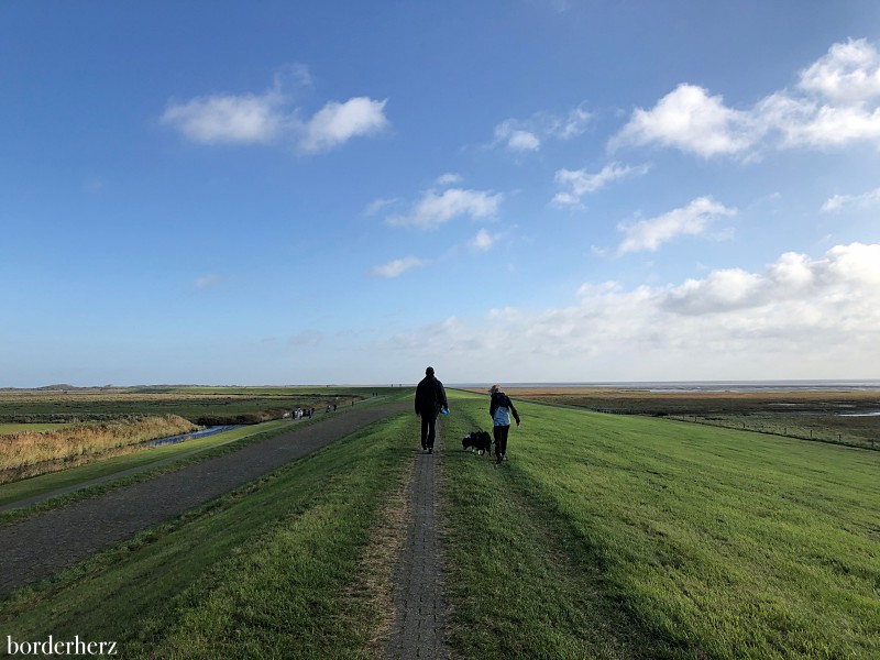 wandern auf Borkum