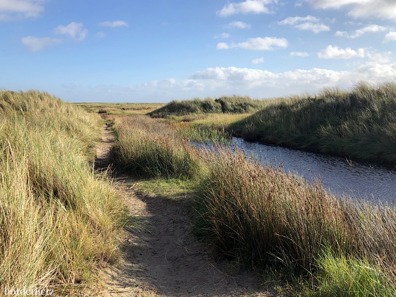 wandern auf Borkum