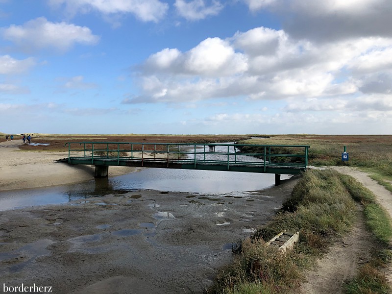 Borkum Hooge Hörn