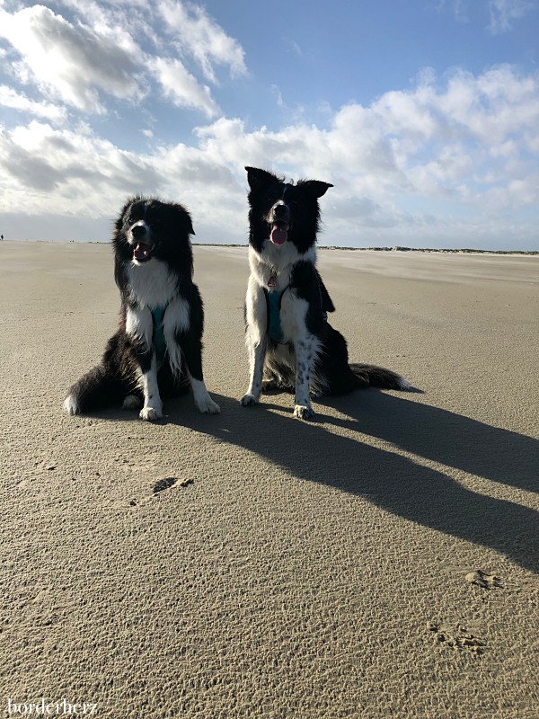 Strandwanderung Borkum