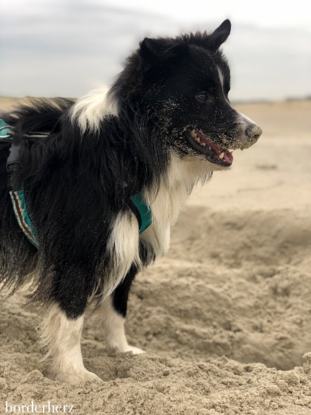 Wanderwege Borkum