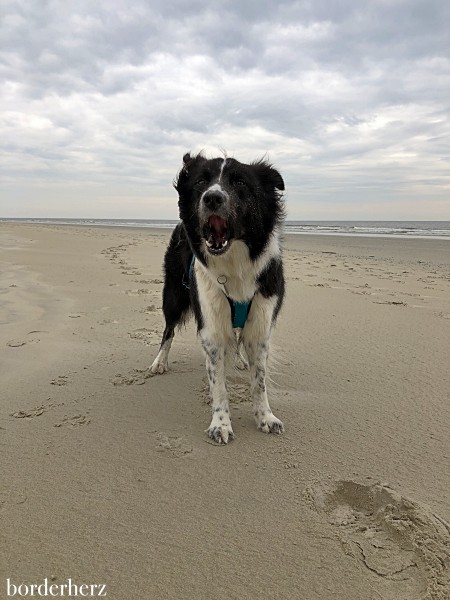 Wanderwege Borkum