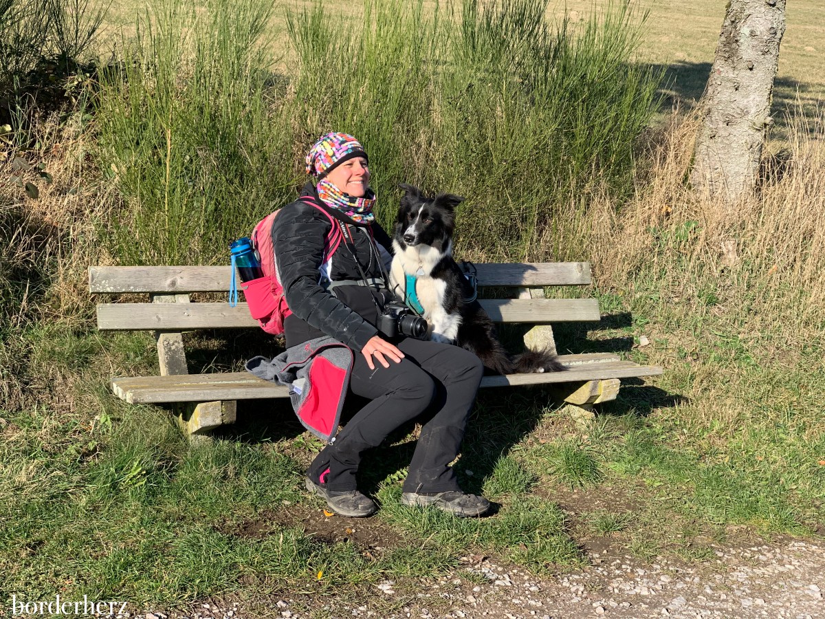 GPS Tracker für Hunde Test