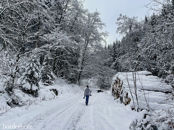 Winterwandern im Sauerland Bödefeld