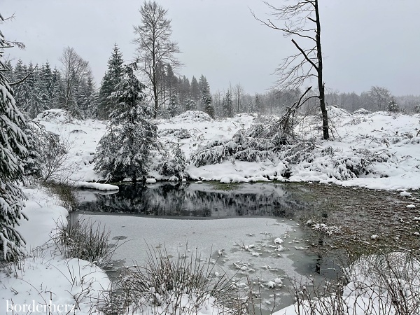 Winterwandern im Sauerland Bödefeld