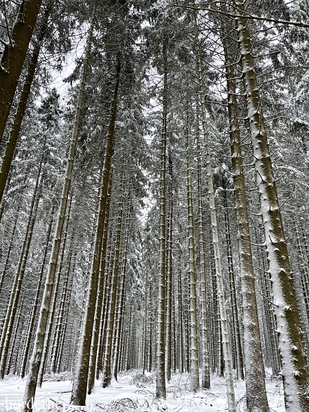 Winterwandern im Sauerland