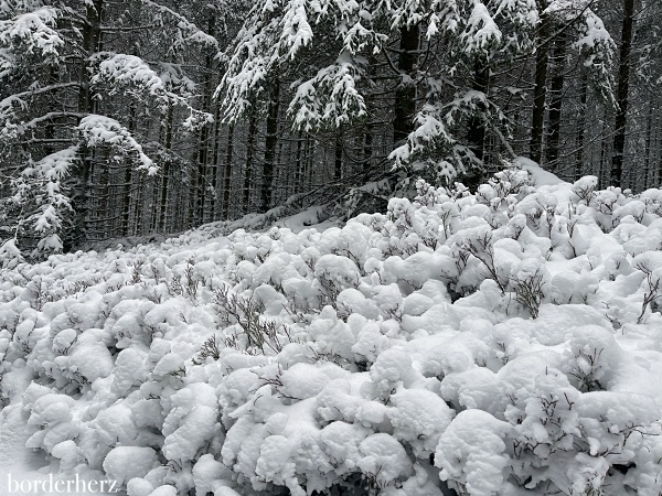 Winterwandern Bödefeld