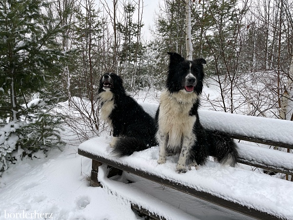 Winterwandern im Sauerland Bödefeld