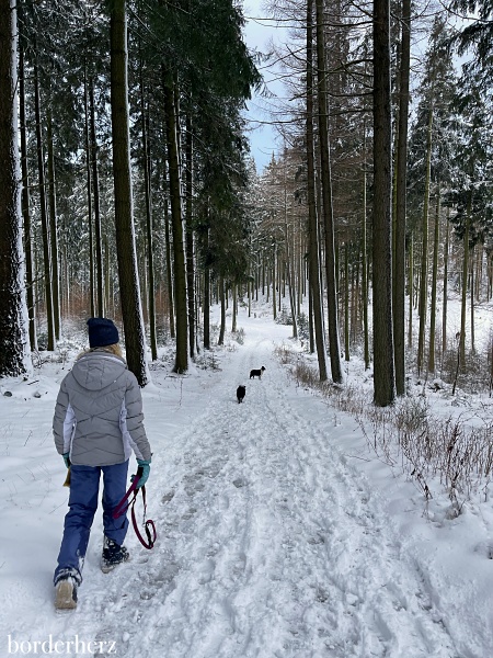 Winterwandern Bödefeld