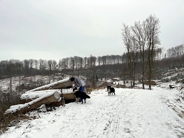 Wandern im Hönnetal