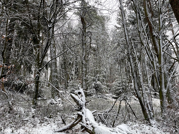 Winterwandern Kahle Pön