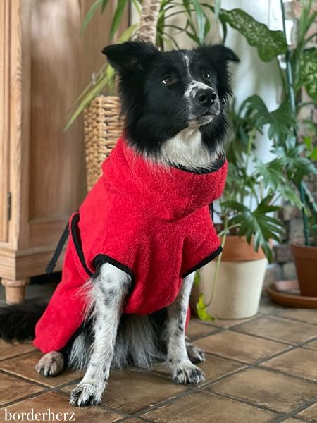 Bademantel für Hunde