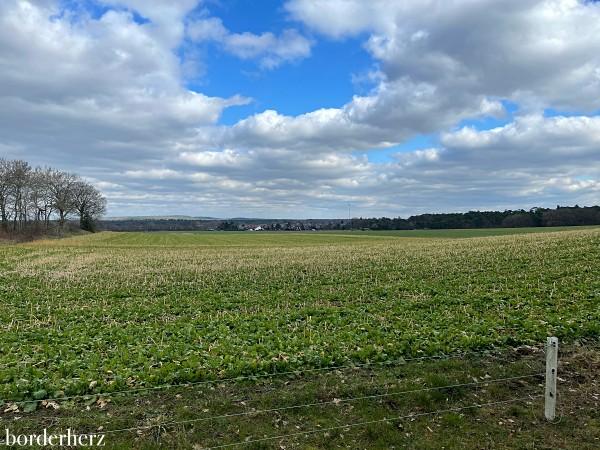 wandern in der Haard