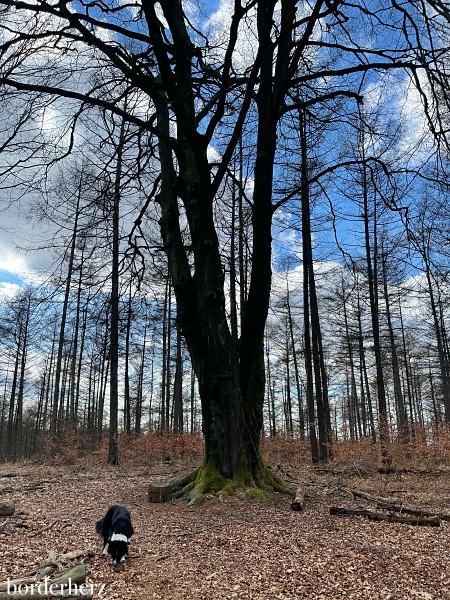 Wandern im Ruhrgebiet